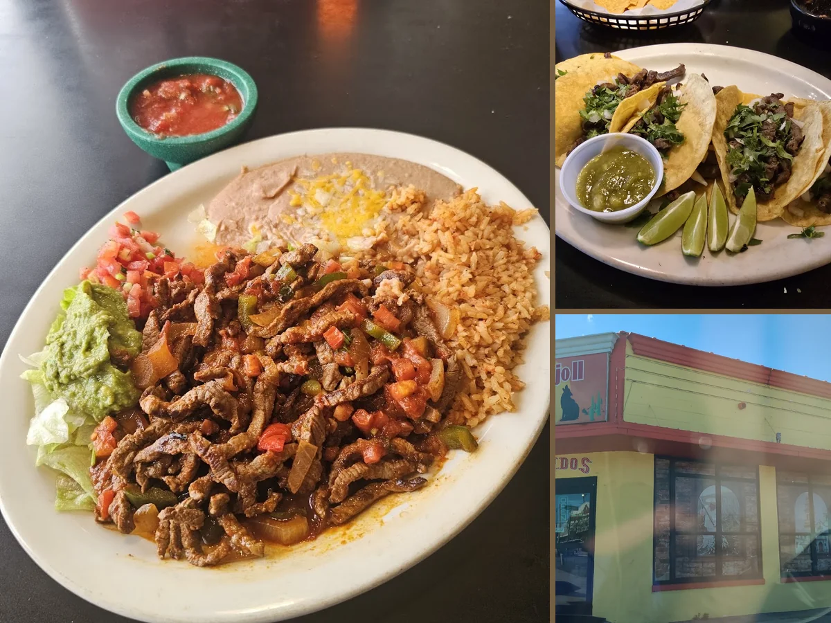 Chips and salsa beside a hearty entrée.